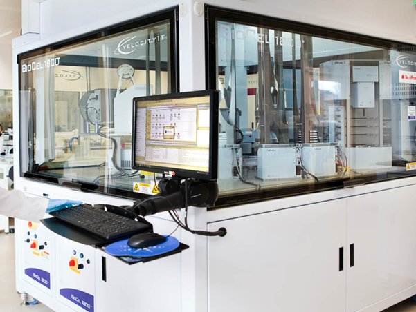 Autophagy Measurement