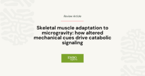 mechanical forces